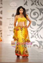 Model walks the ramp for Archana Kocchar at Aamby Valley India Bridal Week day 5 on 2nd Nov 2010 (57).JPG